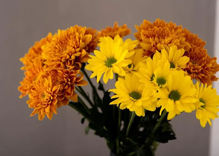 Daydream Luxury Hotel Fira (Santorini)