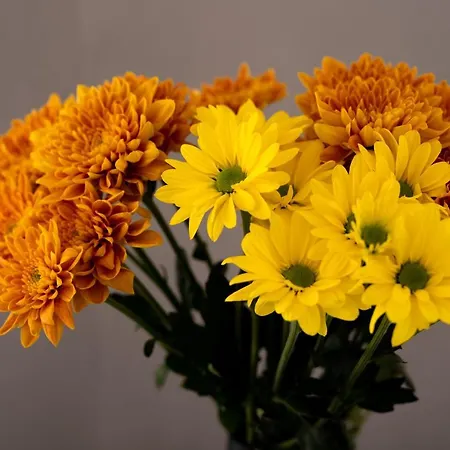 Daydream Luxury ホテル サントリーニ